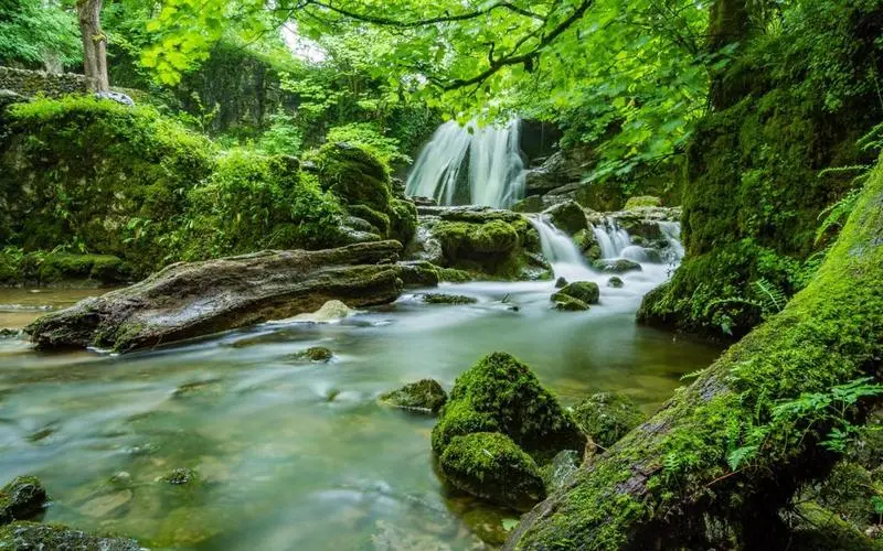 电子高精度